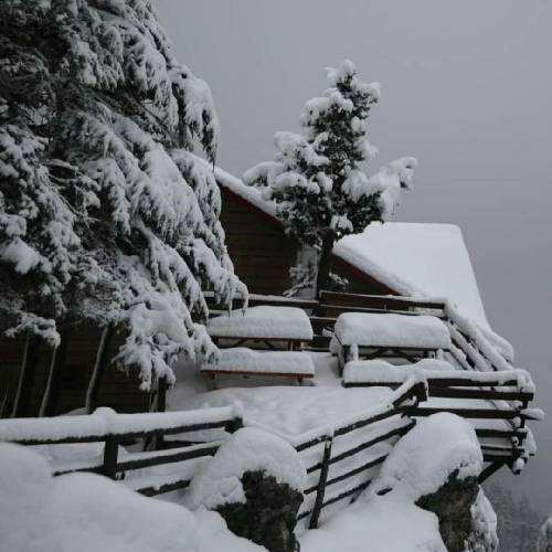 همیشه خندس رو لبش کنار نمیام با کمش جوری نگام میکنه که